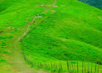 Wisata Alam Petualangan di Banjarmasin yang Cocok untuk Liburan Seru