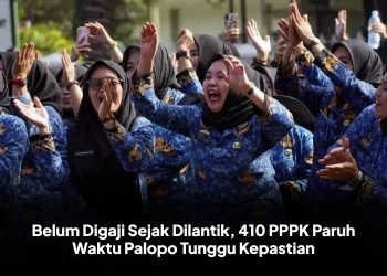 Belum Digaji Sejak Dilantik, 410 PPPK Paruh Waktu Palopo Tunggu Kepastian