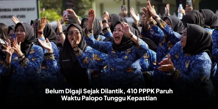 Belum Digaji Sejak Dilantik, 410 PPPK Paruh Waktu Palopo Tunggu Kepastian