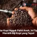 Biar Kopi Nggak Pahit Aneh, Ini Tips Memilih Biji Kopi yang Tepat