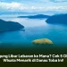 Bingung Libur Lebaran ke Mana? Cek 5 Objek Wisata Menarik di Danau Toba Ini!