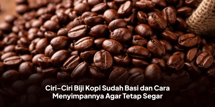 Ciri-Ciri Biji Kopi Sudah Basi dan Cara Menyimpannya Agar Tetap Segar