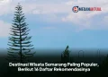 Destinasi Wisata Semarang Paling Populer, Berikut 16 Daftar Rekomendasinya