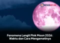 Fenomena Langit Pink Moon 2026: Waktu dan Cara Mengamatinya