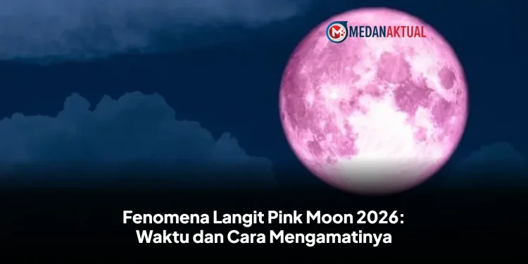 Fenomena Langit Pink Moon 2026: Waktu dan Cara Mengamatinya