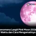 Fenomena Langit Pink Moon 2026: Waktu dan Cara Mengamatinya