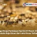 Harga Emas Perhiasan Hari Ini 31 Maret 2026: Update Raja Emas dan Laku Emas Terbaru