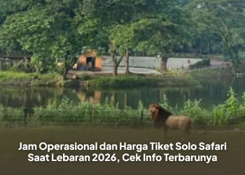 Jam Operasional dan Harga Tiket Solo Safari Saat Lebaran 2026, Cek Info Terbarunya