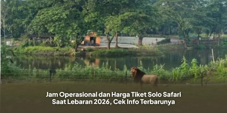 Jam Operasional dan Harga Tiket Solo Safari Saat Lebaran 2026, Cek Info Terbarunya