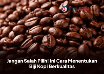 Jangan Salah Pilih! Ini Cara Menentukan Biji Kopi Berkualitas
