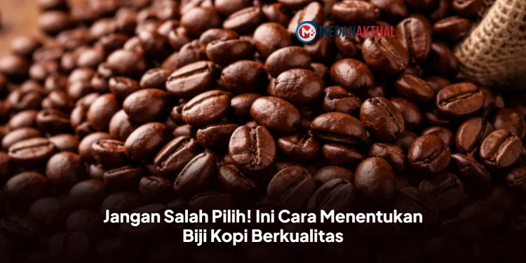 Jangan Salah Pilih! Ini Cara Menentukan Biji Kopi Berkualitas