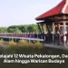 Jelajahi 12 Wisata Pekalongan, Dari Alam hingga Warisan Budaya