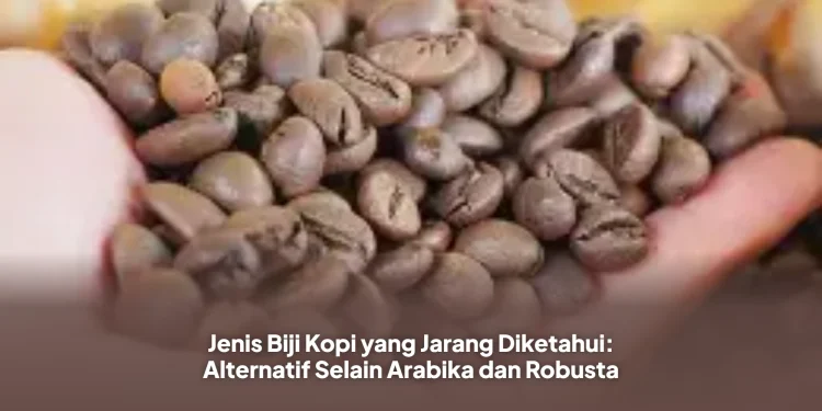 Jenis Biji Kopi yang Jarang Diketahui: Alternatif Selain Arabika dan Robusta