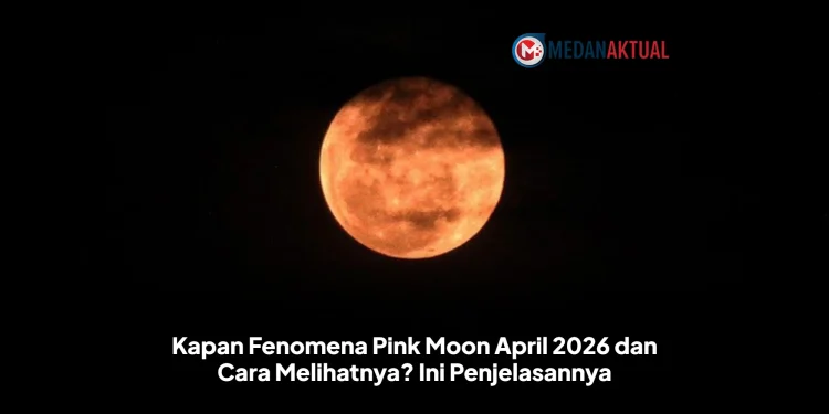 Kapan Fenomena Pink Moon April 2026 dan Cara Melihatnya? Ini Penjelasannya