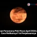 Kapan Fenomena Pink Moon April 2026 dan Cara Melihatnya? Ini Penjelasannya