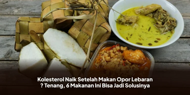 Kolesterol Naik Setelah Makan Opor Lebaran ? Tenang, 6 Makanan Ini Bisa Jadi Solusinya