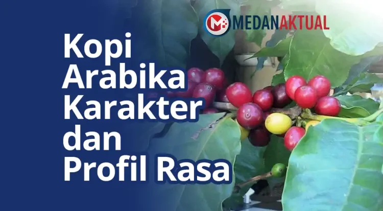 Kopi Arabika : Karakter dan Profil Rasa