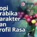 Kopi Arabika : Karakter dan Profil Rasa