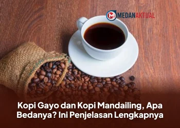 Kopi Gayo dan Kopi Mandailing, Apa Bedanya? Ini Penjelasan Lengkapnya