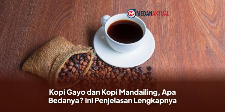 Kopi Gayo dan Kopi Mandailing, Apa Bedanya? Ini Penjelasan Lengkapnya