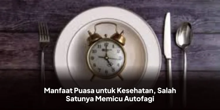 Manfaat Puasa untuk Kesehatan, Salah Satunya Memicu Autofagi