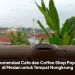 Rekomendasi Cafe dan Coffee Shop Populer di Medan untuk Tempat Nongkrong