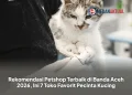 Rekomendasi Petshop Terbaik di Banda Aceh 2026, Ini 7 Toko Favorit Pecinta Kucing