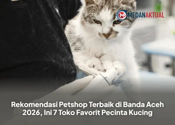 Rekomendasi Petshop Terbaik di Banda Aceh 2026, Ini 7 Toko Favorit Pecinta Kucing