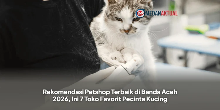 Rekomendasi Petshop Terbaik di Banda Aceh 2026, Ini 7 Toko Favorit Pecinta Kucing