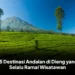15 Destinasi Andalan di Dieng yang Selalu Ramai Wisatawan