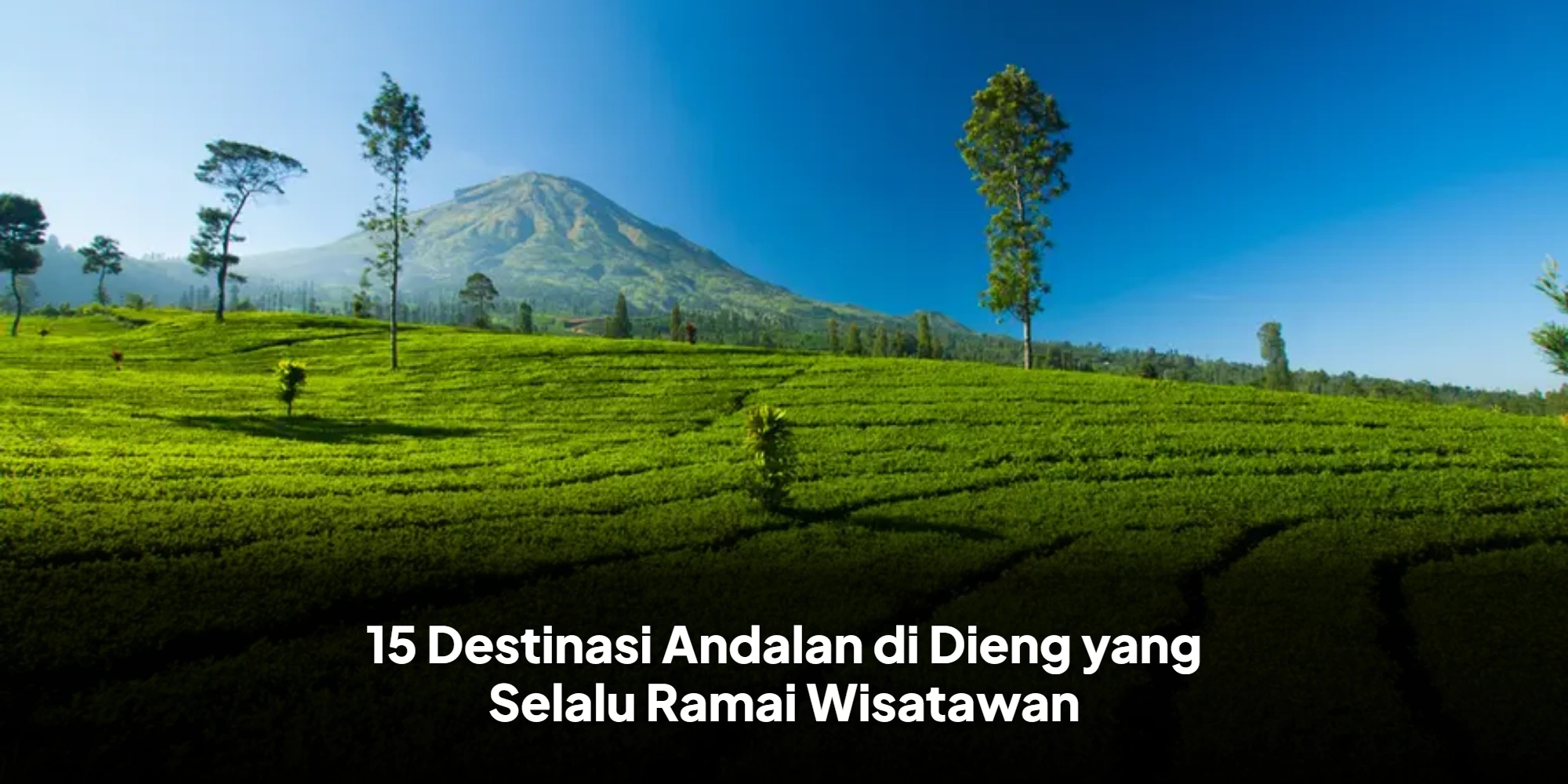 15 Destinasi Andalan di Dieng yang Selalu Ramai Wisatawan