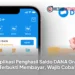 9 Aplikasi Penghasil Saldo DANA Gratis Terbukti Membayar, Wajib Coba!