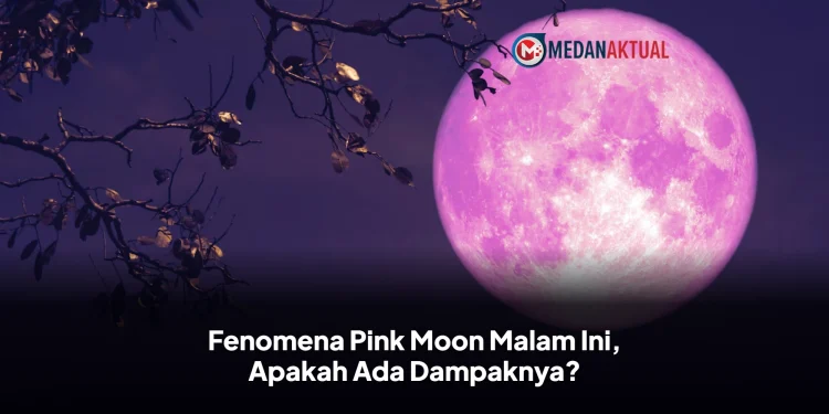 Fenomena Pink Moon Malam Ini, Apakah Ada Dampaknya?
