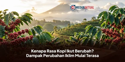 Kenapa Rasa Kopi Ikut Berubah? Dampak Perubahan Iklim Mulai Terasa