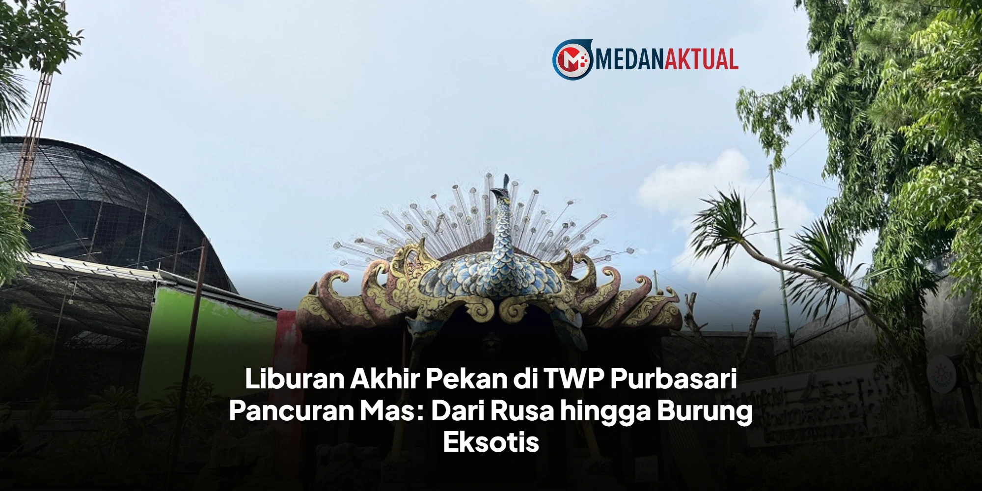 Liburan Akhir Pekan di TWP Purbasari Pancuran Mas: Dari Rusa hingga Burung Eksotis