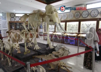 5 Museum Bersejarah di Medan yang Menarik untuk Dikunjungi