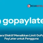Cara Efektif Menaikkan Limit GoPay PayLater untuk Pengguna