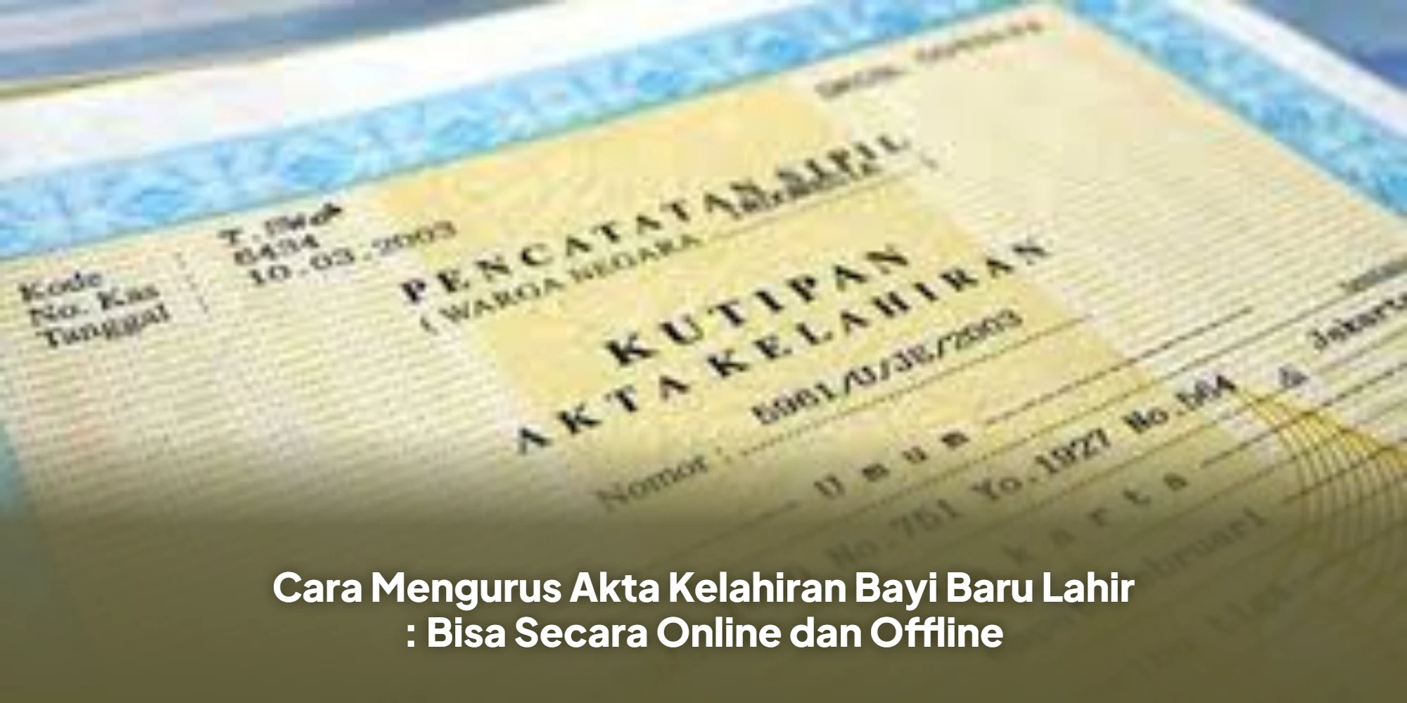 Cara Mengurus Akta Kelahiran Bayi Baru Lahir : Bisa Secara Online dan Offline