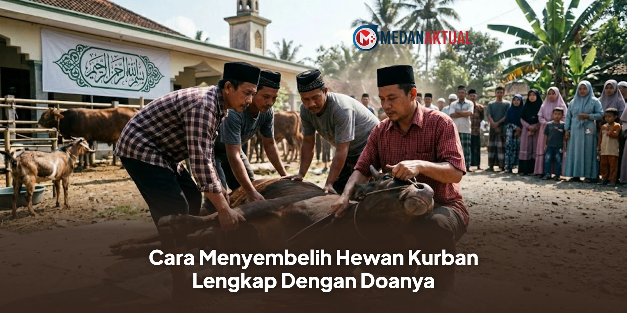 Cara Menyembelih Hewan Kurban Lengkap Dengan Doanya