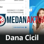 Mengapa DANA Cicil Tidak Tersedia di Akun Anda?