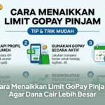 Cara Menaikkan Limit GoPay Pinjam Agar Dana Cair Lebih Besar