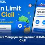 Cara Mengajukan Pinjaman di DANA Cicil