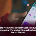 Cara Menurunkan Desil DTSEN 2026