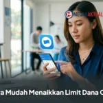 Cara Mudah Menaikkan Limit Dana Cicil