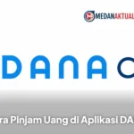 Cara Pinjam Uang di Aplikasi DANA