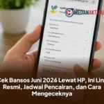 Cara Cek Bansos BPNT Juni 2026 Lewat HP