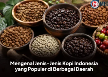 Mengenal Jenis-Jenis Kopi Indonesia yang Populer di Berbagai Daerah