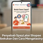 Cara Ajukan Pinjaman Melalui Spinjam Shopee