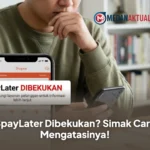 SpayLater Dibekukan? Simak Cara Mengatasinya!