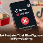 TikTok PayLater Tidak Bisa Digunakan? Ini Penyebabnya